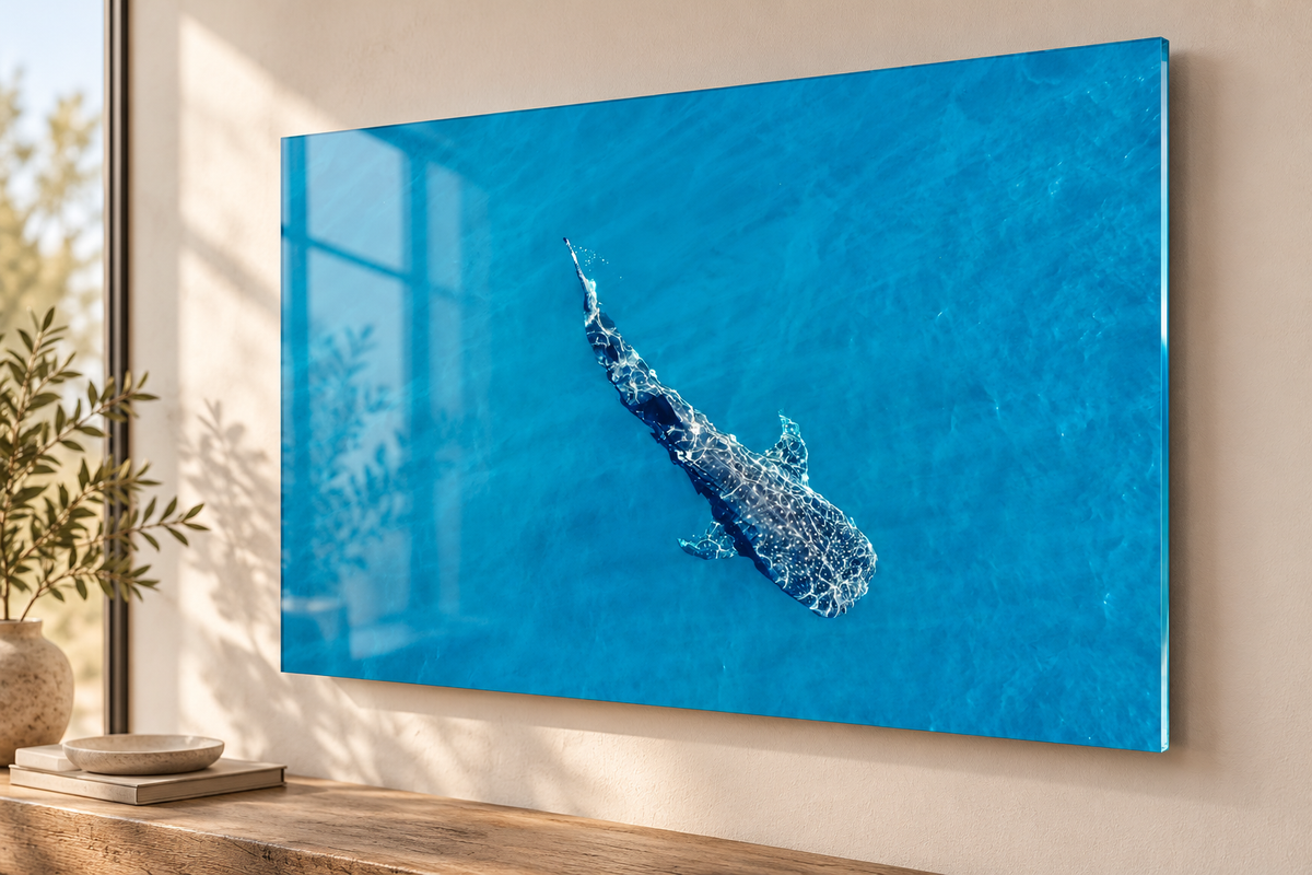 Whale Shark —  750 x 500mm glass print